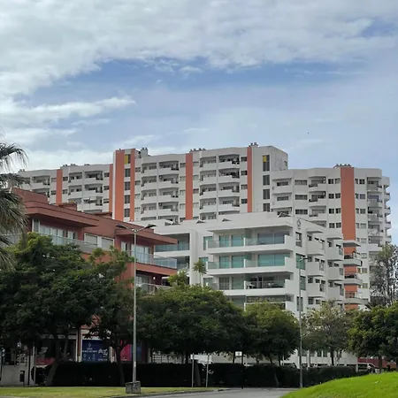 Maria Do Ceu Daire Portimão